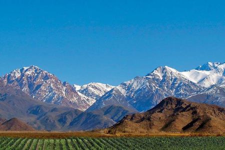 Private Uco Valley Tour paired Lunch, Wine Tastings from Mendoza