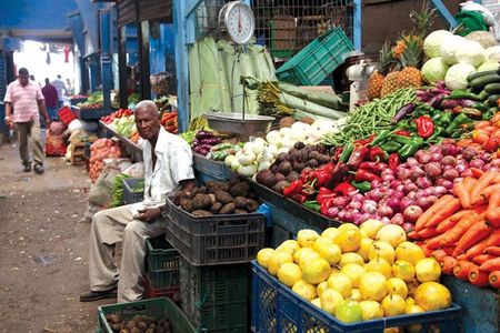 Bazurto Market Adventure Tour in Cartagena