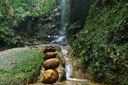 Tijuca Forest Hiking Tour including Waterfalls