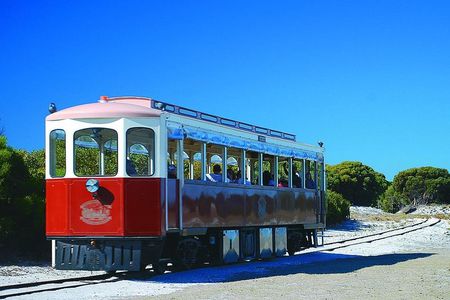 Rottnest Island Grand Tour Including Lunch and Historical Train Ride