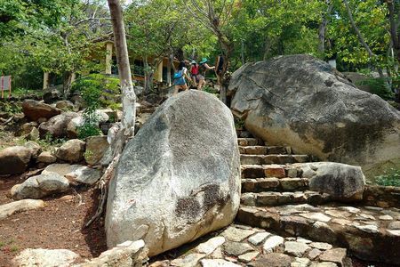 Palma Sola Secrets Petroglyphs Culture & Market Flavors withLunch