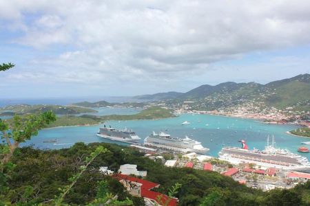 Shore Excursion: Small Group St Thomas Highlights Tour