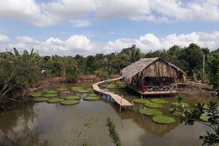 Full-day Cai Rang floating market - explore countryside, make bakery - from HCM
