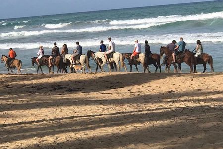 Sunset beach horsebackriding Punta Cana 