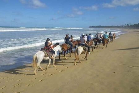Punta Cana Beach Horseback Riding