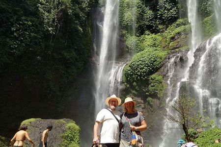 Jatiluwih rice terraces,ulundanu and sekumpul waterfall trips