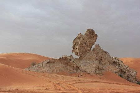Camel Rock Desert safari Dubai with bbq Dinner camel ride sand boarding & more
