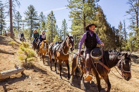 Ruby's Horseback Adventures Utah Thunder Mt. 4 Hour Ride