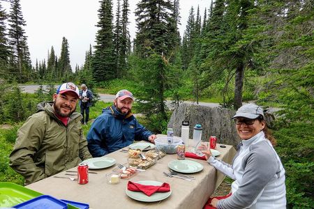 Mount Rainier National Park Experience with Lunch