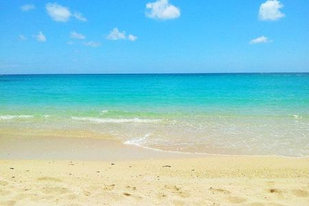 Visit 4 Beaches in the North Including Mont Choisy & Pereybere
