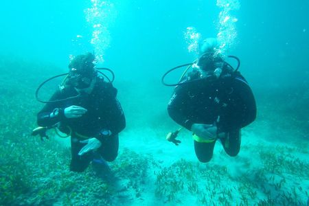 Discover Scuba Diving