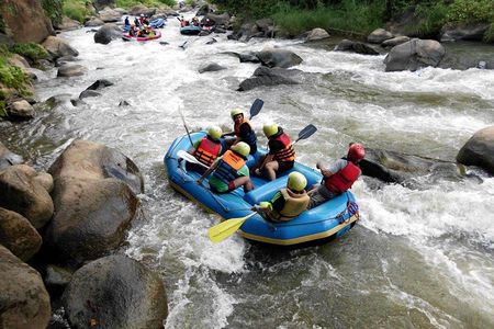 World-Class Mae Taeng River Whitewater Rafting Experience