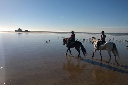 1 day horseback ride with lunch