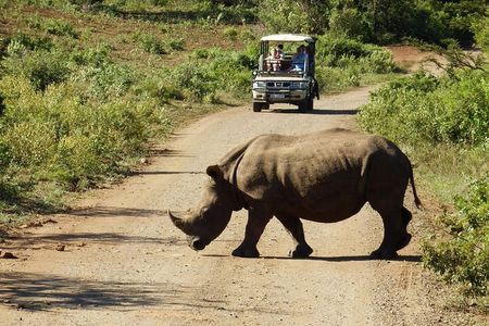 2 Day South African Wildlife Tour with 4x4 Safari from Cape Town