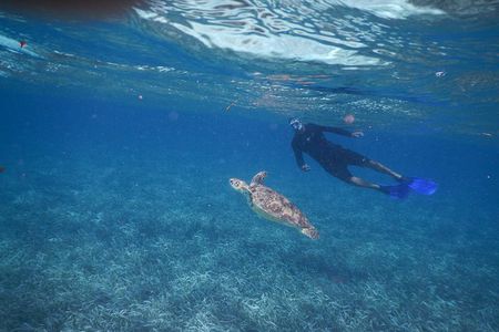 All inclusive Snorkeling at Hol Chan