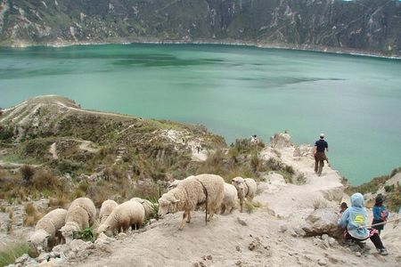 Quilotoa Lagoon and Volcanoes Avenue Day Trip with Entrances