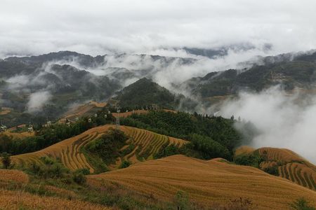  Guilin: Day tour of Longji Rice Terraces and Yangshuo