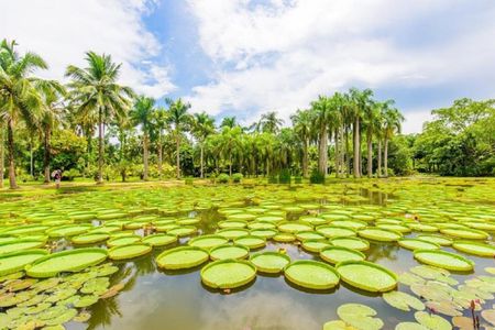 1 Day Xishuangbanna City Tour with Tropical Botanical Garden