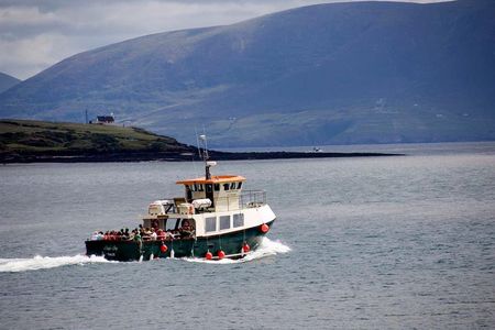Dingle Peninsula Day Tour from Limerick: The Wild Atlantic Way