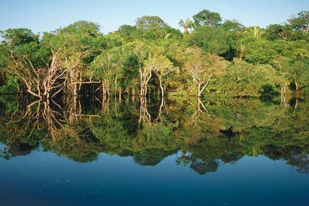 Meeting of the Waters & Pink Dolphin Tour with Lunch