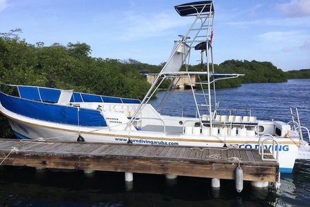 Aruba 2-Tank guided Dive for certified divers with own equipment