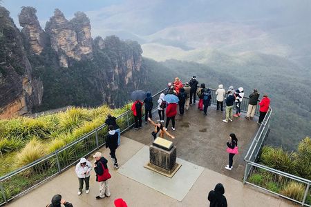 Blue Mountains: Cable Cars, Wildlife & Three Sisters Private Tour