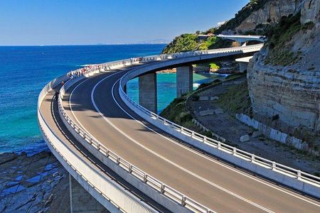 Wildlife, Wine & Waves – Epic South Coast Adventure from Sydney