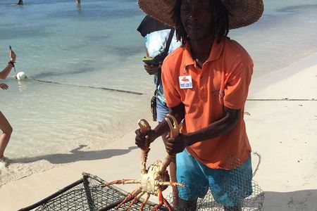 Explore Montego Bay Jamaica to Negril Beach & Ricks Cafe Sunset 