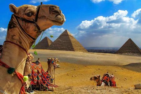 Private 13 Days tour Cairo, Alexandria, Nile Cruise and Hurghada
