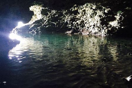 Barbados Animal Flower Cave, Cherry Tree Hill & West Coast Views