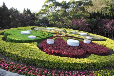Yangmingshan National Park & Hot Spring Tour (afternoon )