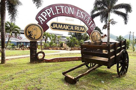 Appleton Estate Rum Tour and Tasting from Runaway Bay