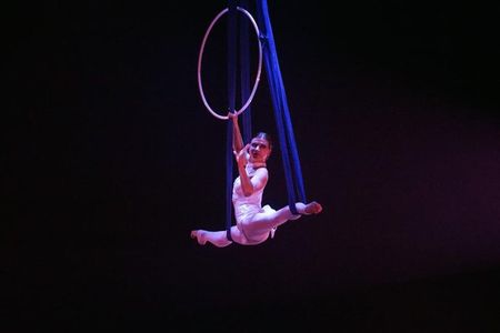 Private Tour: Shanghai Acrobatic Show and Authentic Dim Sum