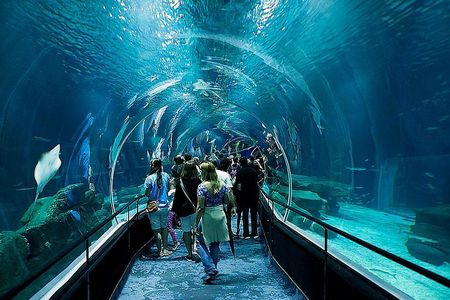 AquaRio Small Group Guided Tour with entrance and transfer