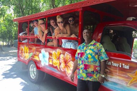 Private Four Hour Historic/Beach Tour with Star Fish Tours & Taxi