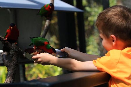 Kids Park Ranger for a Day