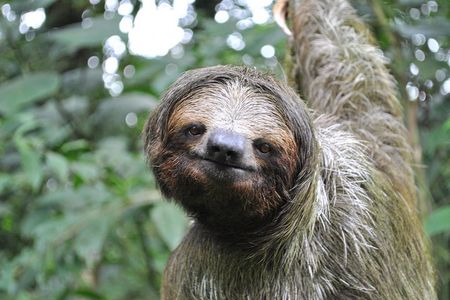 La Fortuna Wildlife Safari Float Tour