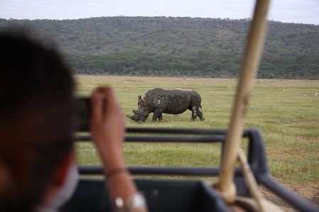 1-Day Lake Nakuru Tour