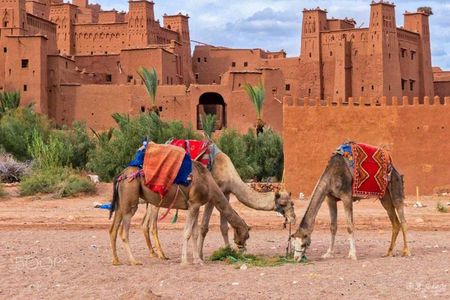 Ait ben haddou and Ouarzazate day trip