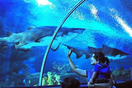 Aquaria KLCC Admission with Kuala Lumpur City Famous Landmarks