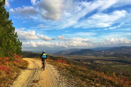E-bike Tour: Istrian Countryside & Parenzana