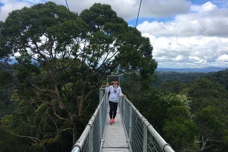 Full Day Trip of Brunei Ulu Temburong National Park including Canopy Walk