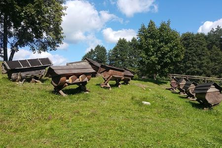 Full-Day Tour to Aukstaitija National Park from Vilnius