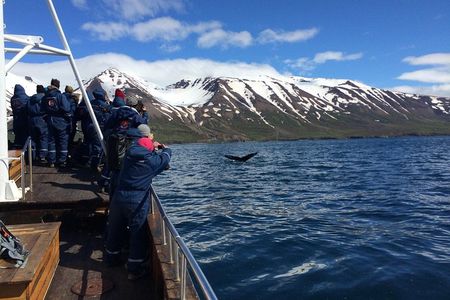 7-Day Complete Iceland: South Coast, Golden Circle, Akureyri & Snaefellsnes 
