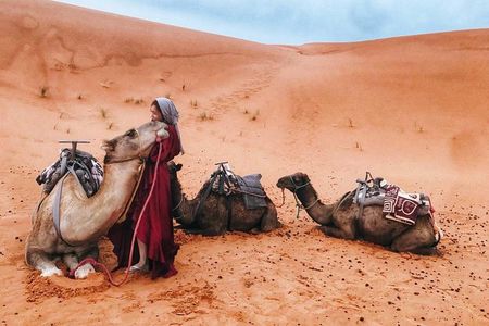 Fes to Marrakech 4 days desert tours