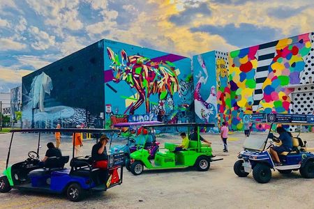 1 Hour WYNWOOD BUGGIES tour