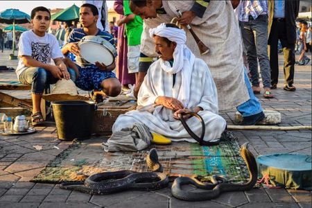 Half-Day Guided Tour: Monuments and Souks of Marrakech