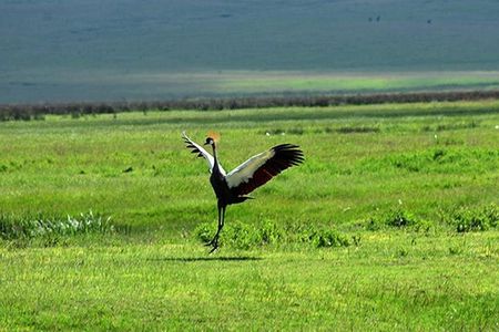 6 Days: Tanzania Classic Budget Camping And Culture.