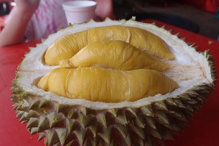 King of Tropical Fruits - Durian Tasting Tour From Kuala Lumpur