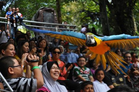Kuala Lumpur Garden, Park and Museum Tour with Lunch